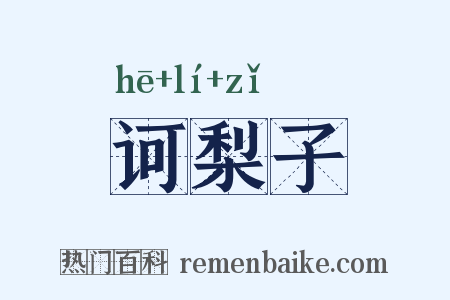 诃梨子是什么意思的图片